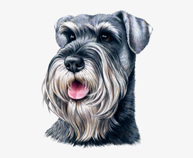 Dog Fabric, Schnauzer, Custom Print Fabric, transparent png download