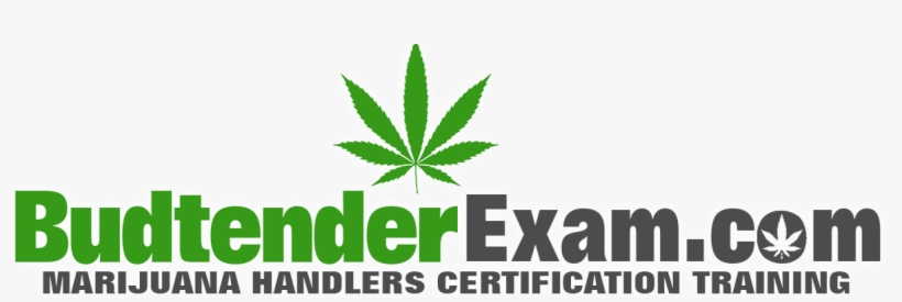 Training, transparent png download