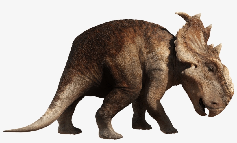 Dinosaur - Dinosaurs Png, transparent png download