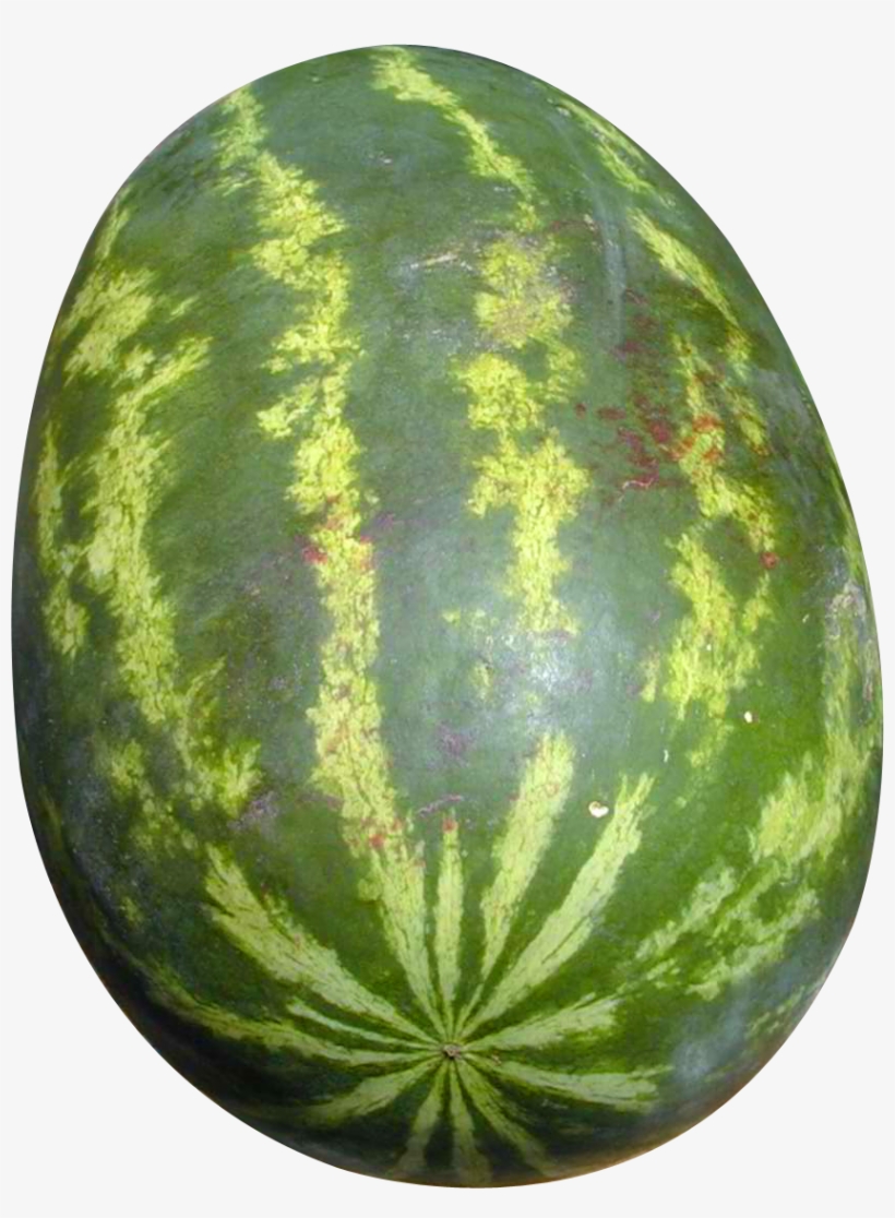 Watermelon Png Image - 3drose Watermelon Ceramic Mug, 15-ounce, transparent png download