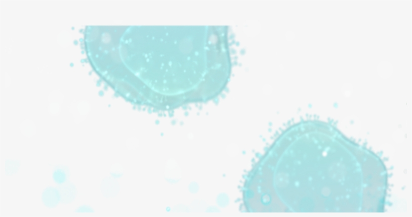 Bubbles Foreground-1200x576 - Circle, transparent png download