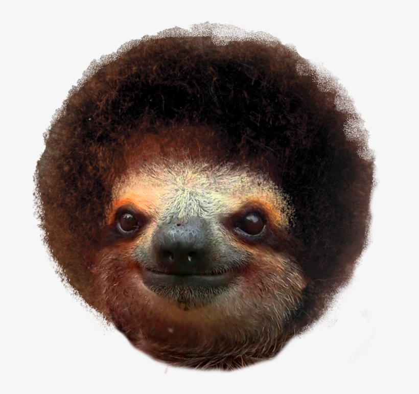 Sloth Ross - Bob Ross And Sloths, transparent png download