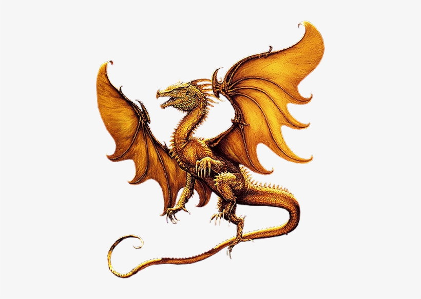 Wild Dragons, transparent png download