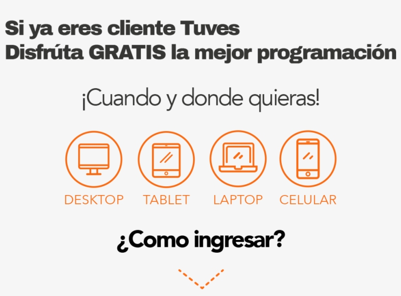 07 May 2018 - Circle, transparent png download