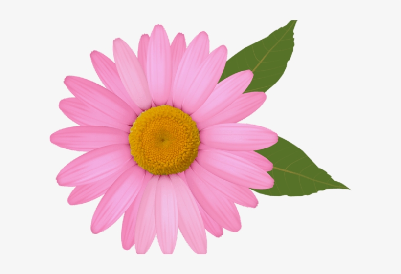 Red Flower Clip Art, transparent png download