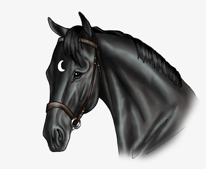 Loki - Stallion, transparent png download