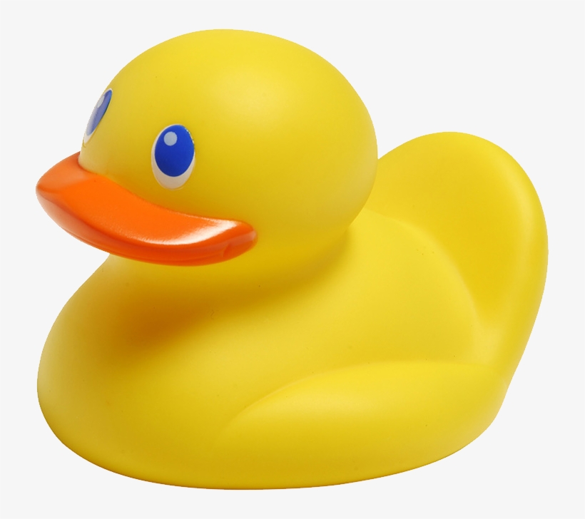 Png Images, Pngs, Rubber Duck, Rubber Ducks, Plastic - Safety 1st Bath Duck With Temperature Display –, transparent png download