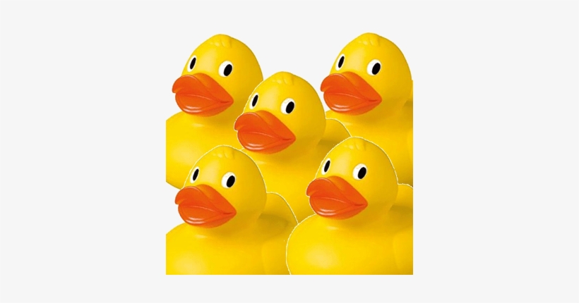 Family Of Ducks - Bath Toy, transparent png download