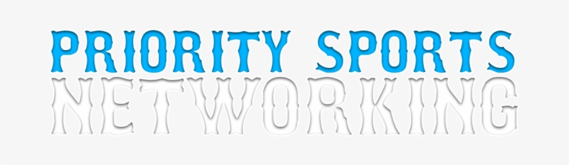 Psn Wordmark Bb&w - Portable Network Graphics, transparent png download