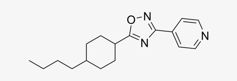320 × 107 Pixels - Diagram, transparent png download