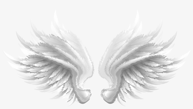 Vector Graphics, transparent png download