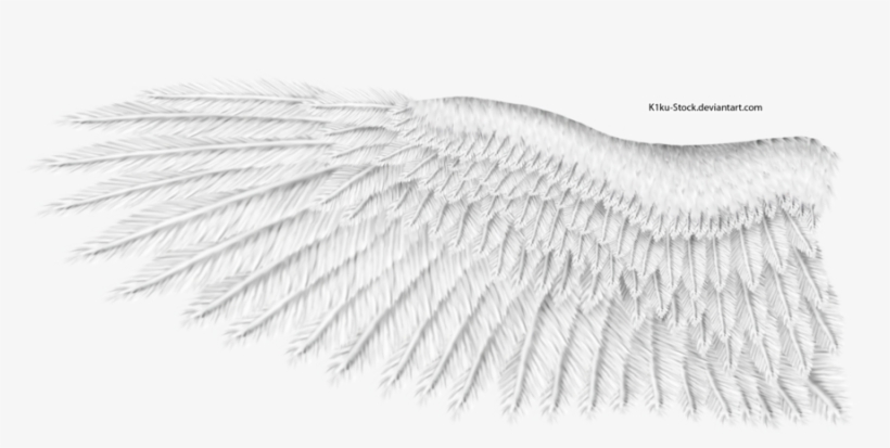 White Wings Png Download Image - White Eagle Wings Png, transparent png download