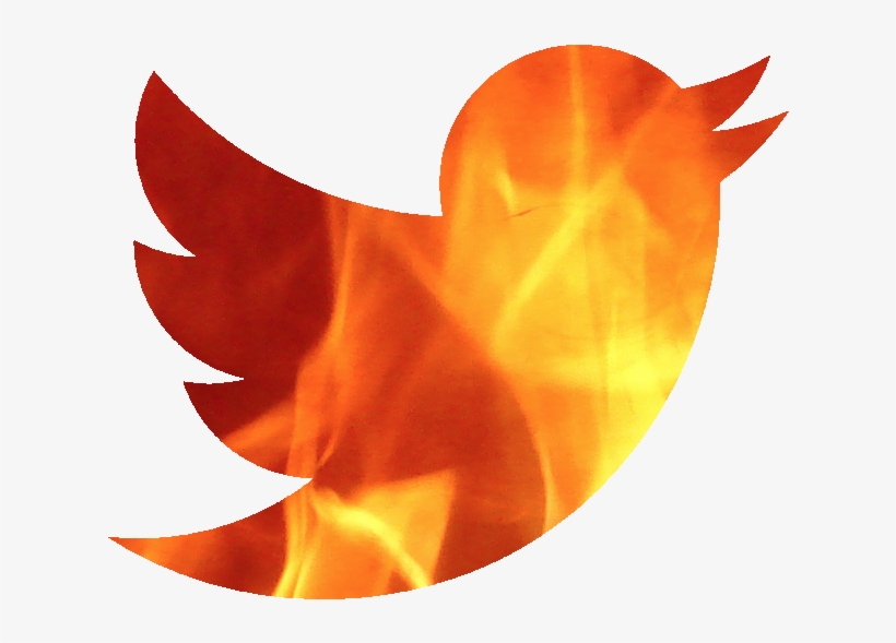 Post - Twitter Bird Logo Red, transparent png download