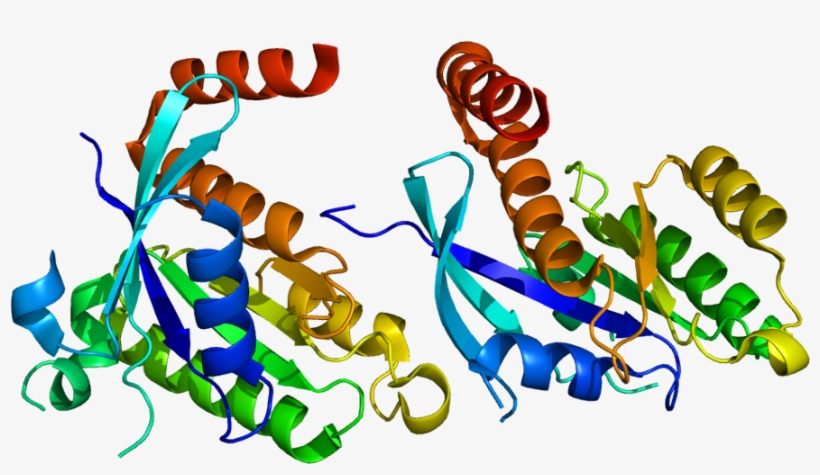 Protein Gem Pdb 2cjw - Protein Data Bank, transparent png download