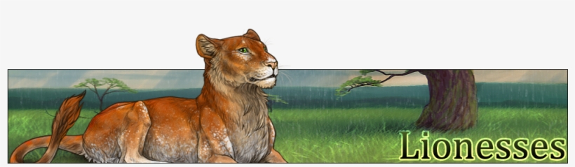 5yf8kko - Wiki, transparent png download