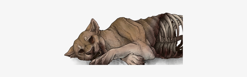 Go To Image - Lion, transparent png download