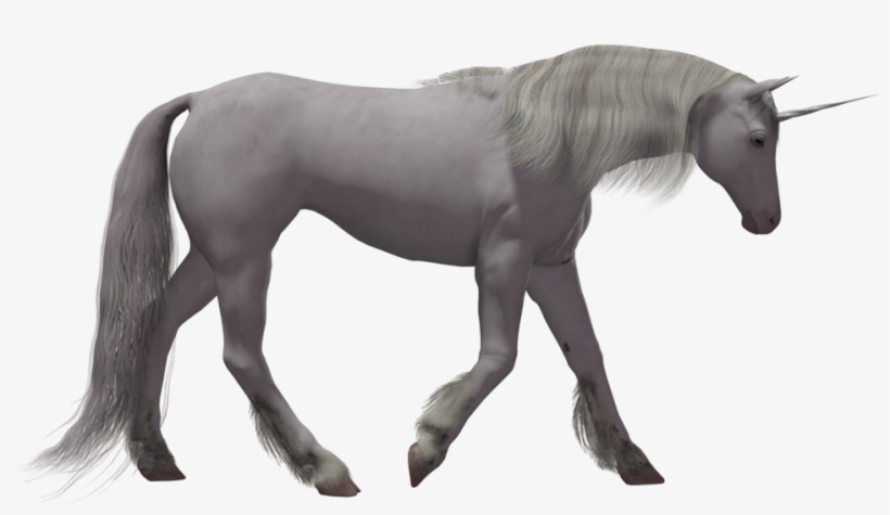 Unicorn Png Image - Unicorn, transparent png download