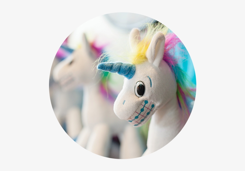 Unicorns - Unicorn Braces Brackets, transparent png download