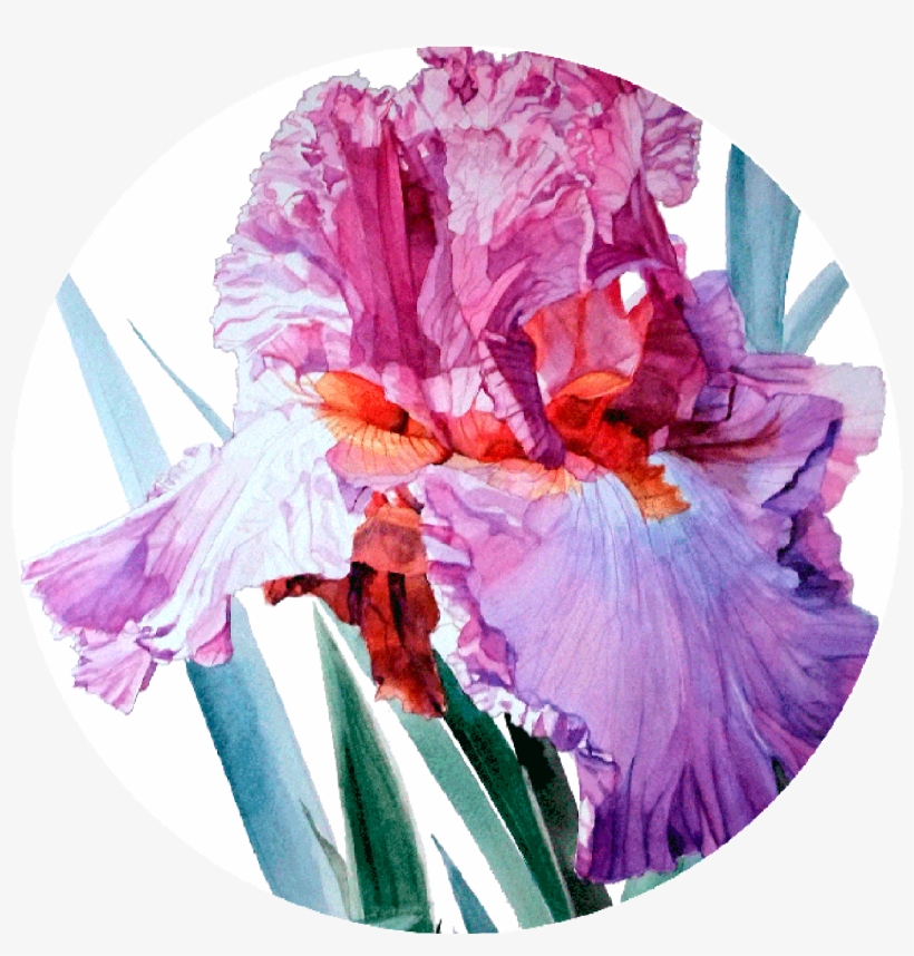 Round Ready To Hang Modern Art From Http - Watercolor Flowers Botanical Art, transparent png download