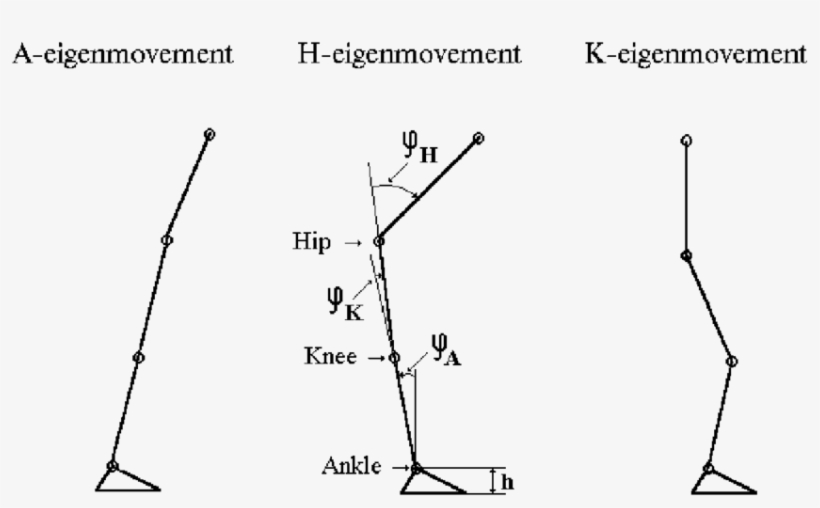 Png Black And White Library Ankle Drawing Foot Angle - Ankle, transparent png download