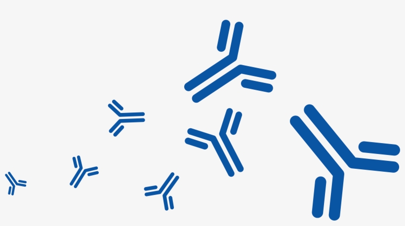 Production, Charact, And Cell Bank - Cell Bank, transparent png download