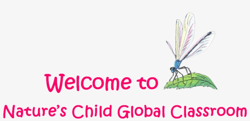 Classroom - Png - School, transparent png download