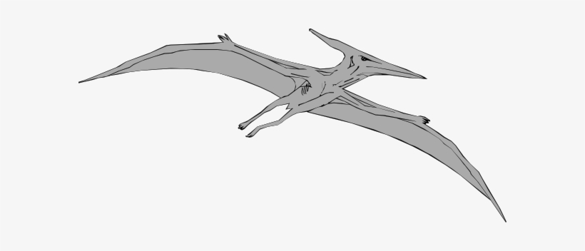 This Free Clipart Png Design Of Gray Pterodactyl Clipart, transparent png download