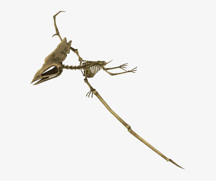 Download Zip Archive - Fossil Fighters: Frontier, transparent png download