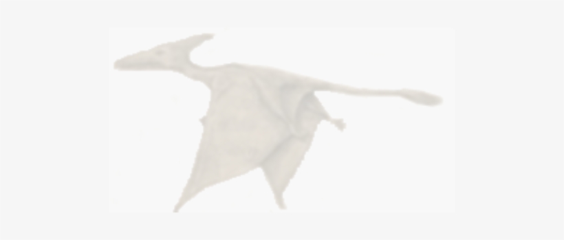 Statistical Analysis On The Number Of Reported Sightings - Fish, transparent png download