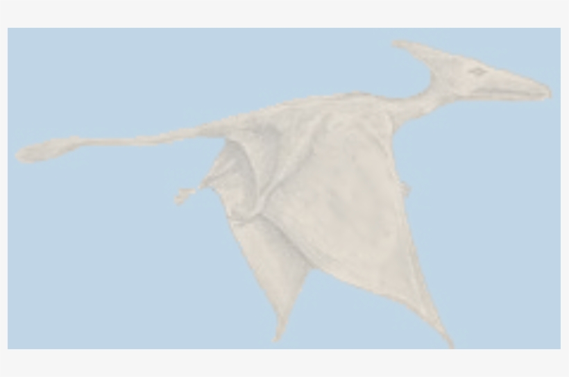 Science & Religion, But This Nonfiction “bible Of Modern - Pterosaur Sighting, transparent png download