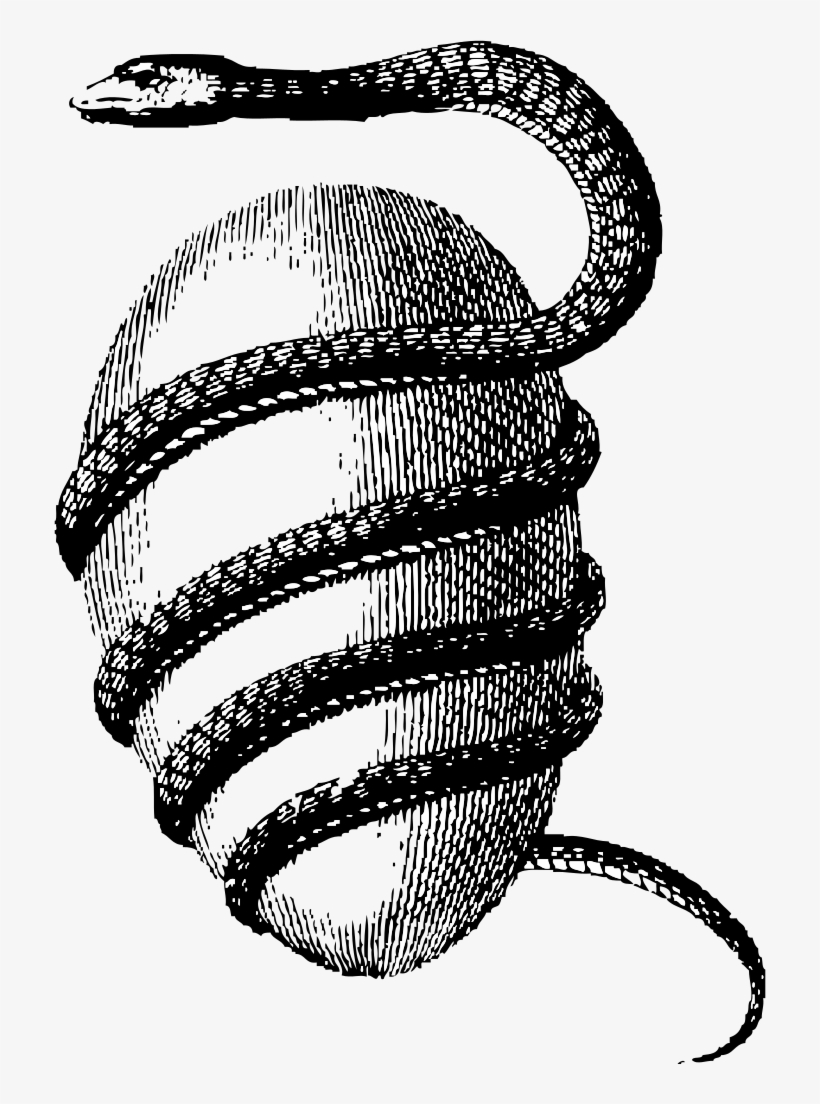 Serpent And Egg - Orphic Egg, transparent png download