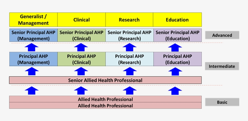 Ahp Career Track - Portable Network Graphics, transparent png download