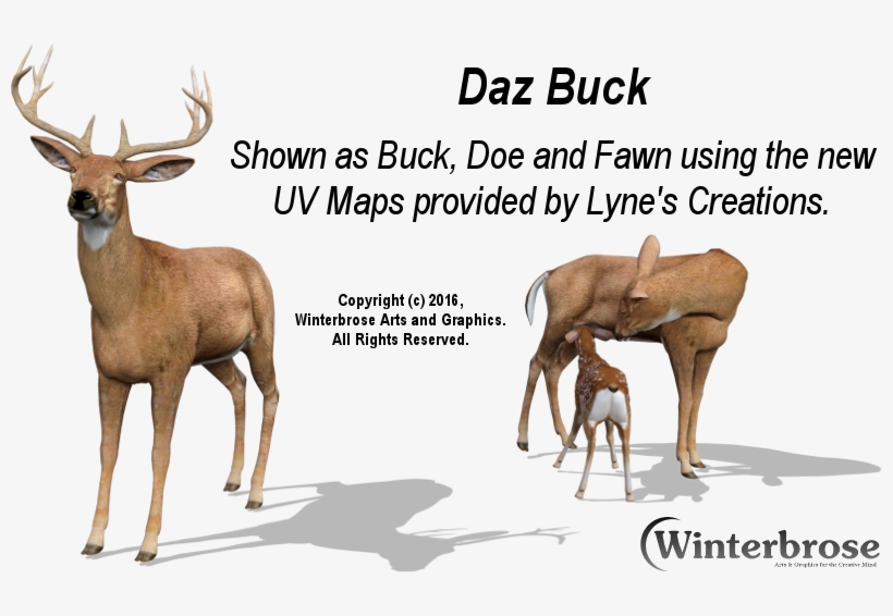 Daz Buck Doe Fawn With New Uv Map From Lyne's Creations - Callback, transparent png download