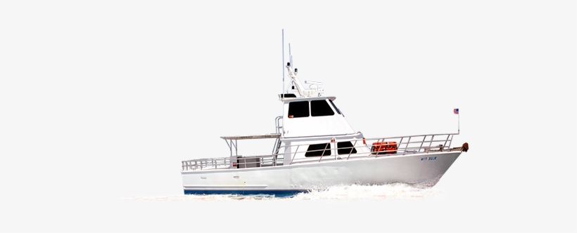 Recreational Fishing, transparent png download