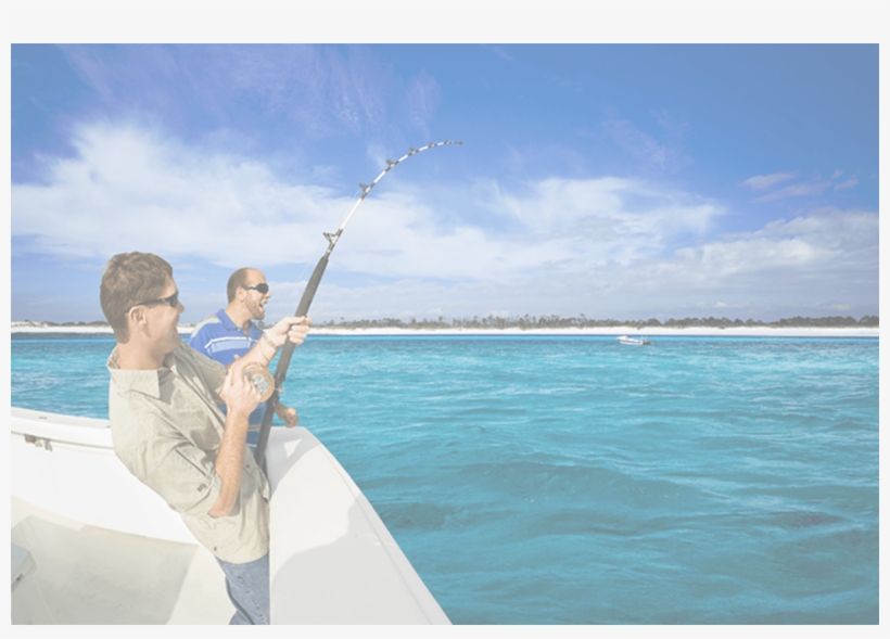 Fish Finder - Fish Locator With Sonar Sensor, transparent png download