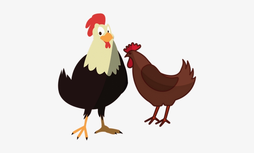 Chickens - 0shares - Protein Important, transparent png download