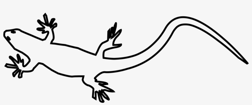 File - Gecko-001 - Svg - Scalable Vector Graphics, transparent png download