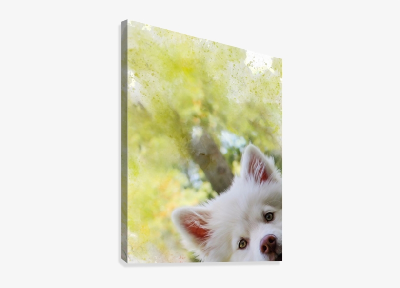 Peek A Boo Pup Canvas Print - Coware Aromadog - Chill-out - Aromatherapy Calming, transparent png download
