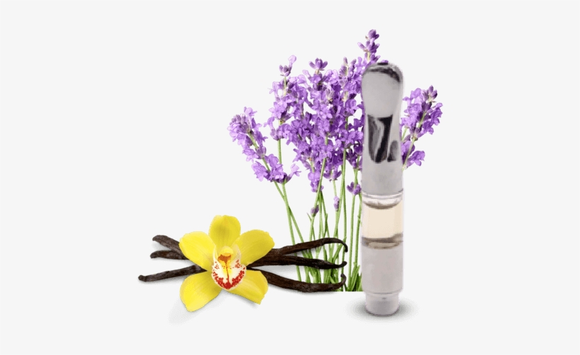 Cbd Vape Cartridge Lavender Vanilla, transparent png download