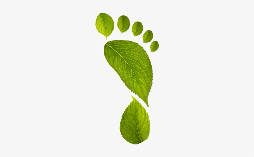 Low Carbon Footprint - Foot Print Out Of Leaves, transparent png download
