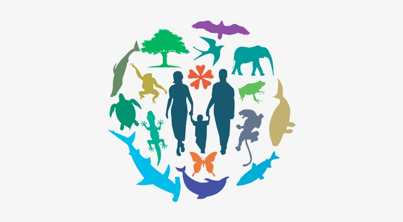 Each Year, 22 May Is Celebrated As World Biodiversity - Poster On Loss Of Biodiversity, transparent png download
