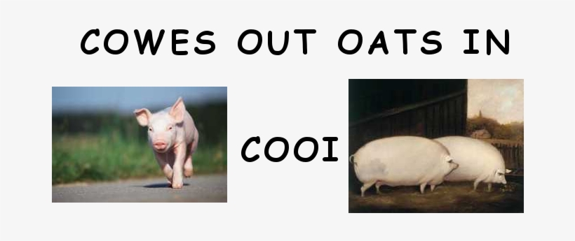 Post - Piggies Schweinchen 2011. Artwork Edition - Broché, transparent png download