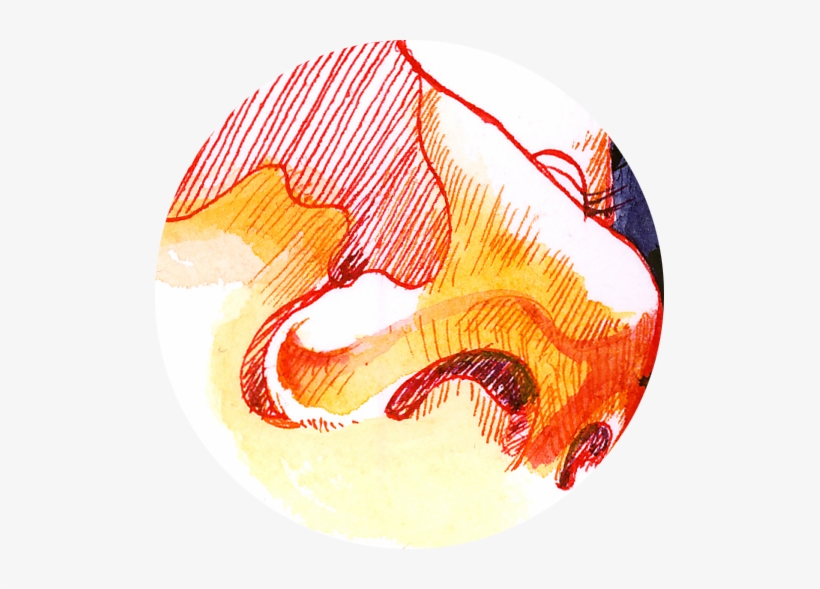 Pelikan Drawing Ink Turquoise - Visual Arts, transparent png download