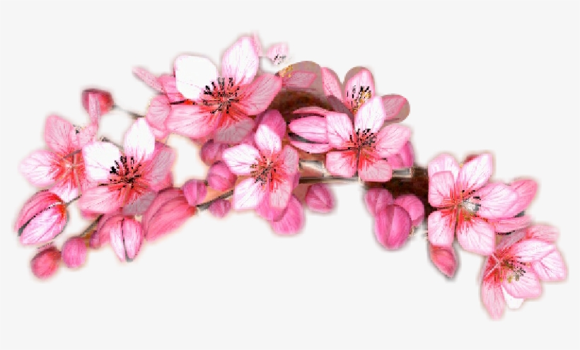 Snapchat Sticker By Karkar - Snapchat, transparent png download