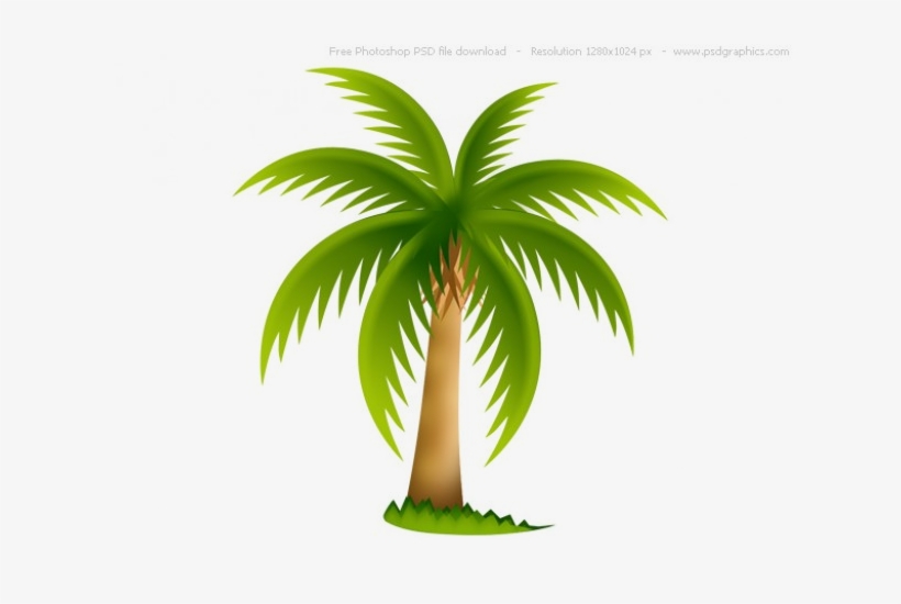 Palmera - Palm Tree Clip Art, transparent png download