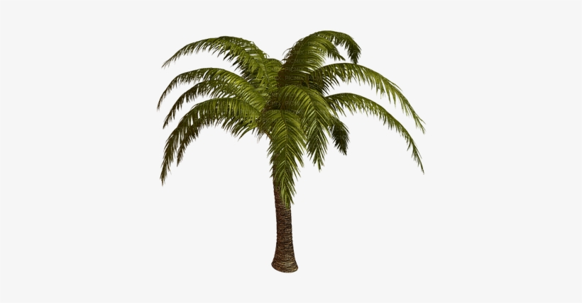Gif Anime Palmera - Пальмы На Прозрачном Фоне, transparent png download