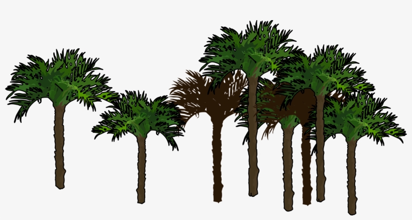 Palmeras Png - Palmeras Png Sin Fondo, transparent png download