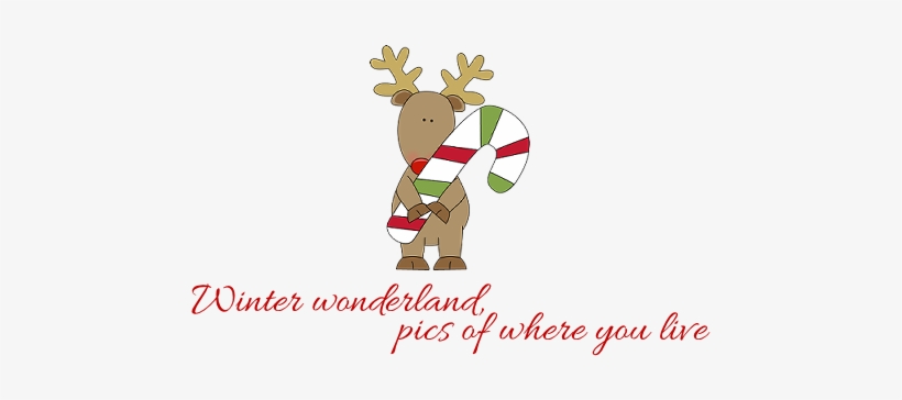 Day 12 Winter Wonderland, Pics Of Where You Live - Start Change Result Word Problems, transparent png download