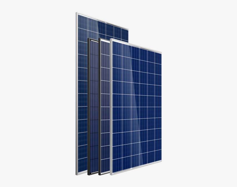 Multicrystalline - Trina Solar Modelo Tsm Dd14a Ii 350 W, transparent png download