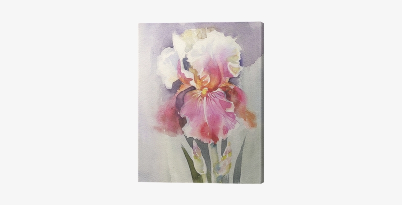 Watercolor Flower Collection - Watercolor Painting, transparent png download